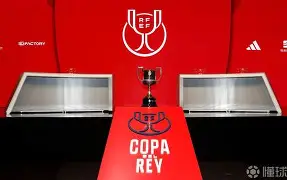 半岛体育官网入口注册-国米国王阿德里亚诺举行告别赛